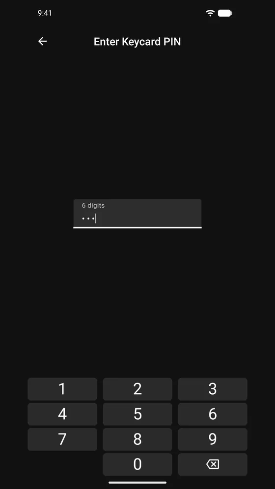 PIN entry
